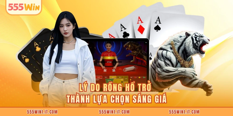 Lý do Rồng Hổ trở thành lựa chọn sáng giá