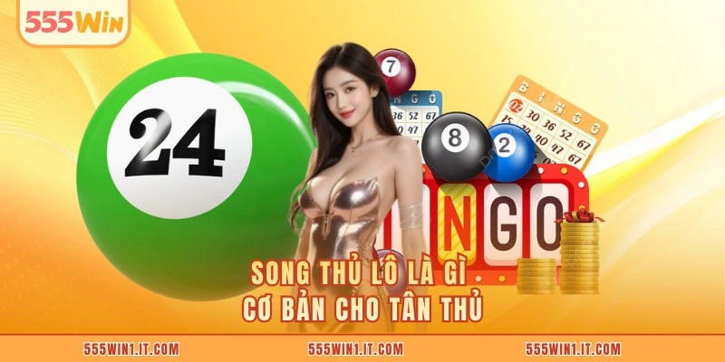 Song Thủ Lô Là Gì? 5 Bí Quyết Nuôi Số An Toàn Dễ Trúng Song thủ lô là gì cơ bản cho tân thủ